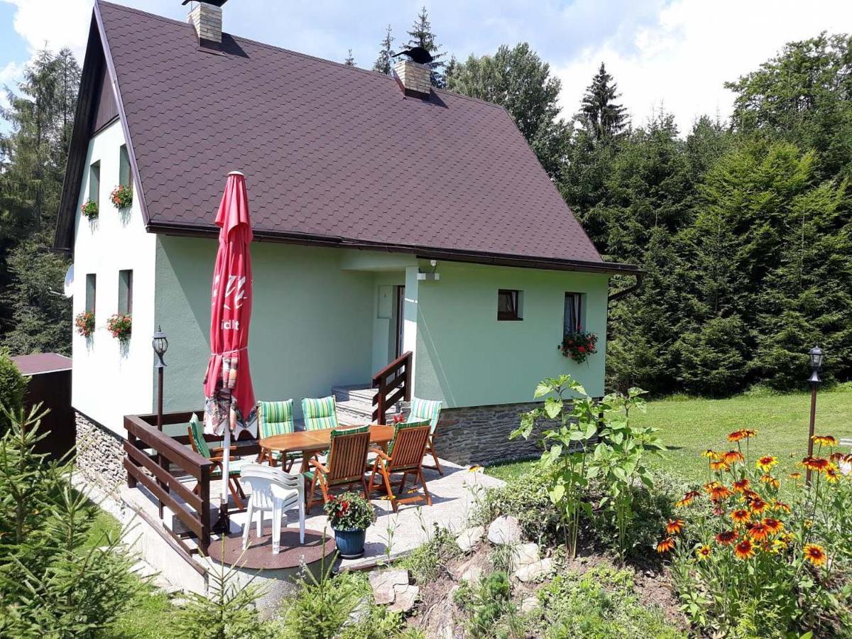 Chata Lipno Lipno nad Vltavou Zewnętrze zdjęcie