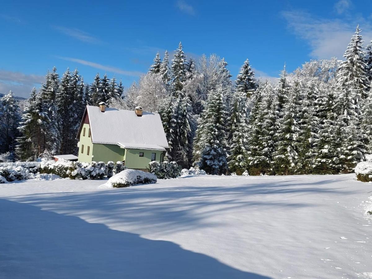 Chata Lipno Lipno nad Vltavou Zewnętrze zdjęcie